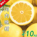 【ふるさと納税】 訳あり 河内晩柑 サイズ不揃い 約4kgまたは約10kg ( 訳あり みかん 訳あり柑橘 訳あり商品 カワチバンカン 河内晩柑 みかん 柑橘 ...