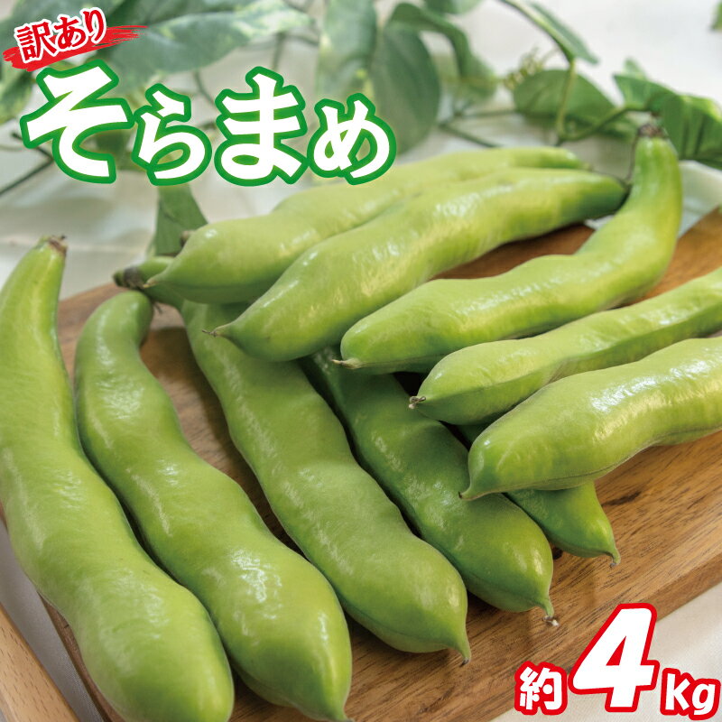 【ふるさと納税】 【期間限定】 訳あり そら豆 約4kg ( 訳あり 野菜 ソラマメ そらまめ 旬の ...