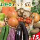 【ふるさと納税】 【\ 野菜ソムリエ上級プロ厳選/】 野菜セット 8品or15品 ( みかんたまご 10個入り ) | 新鮮 野菜 セット 詰め合わせ 卵 たま...