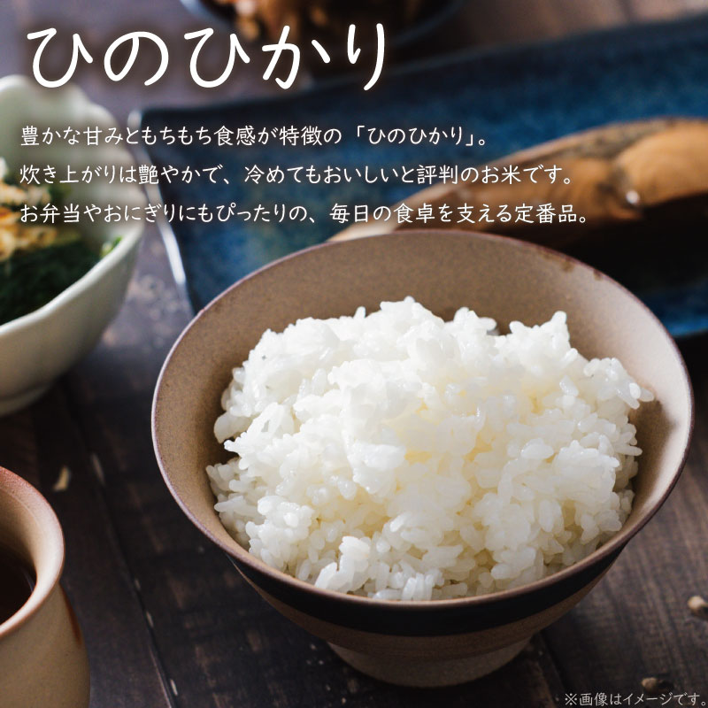 【ふるさと納税】 【選べる玄米・標準米・無洗米】 ひのひかり 約5kg | お米 愛媛県産米 ふるさと納税お米 こめ ご飯 ご飯のおとも ご飯 おにぎり 弁当 おこめ ごはん 飯 お取り寄せ 送料無料 愛媛県 松山市