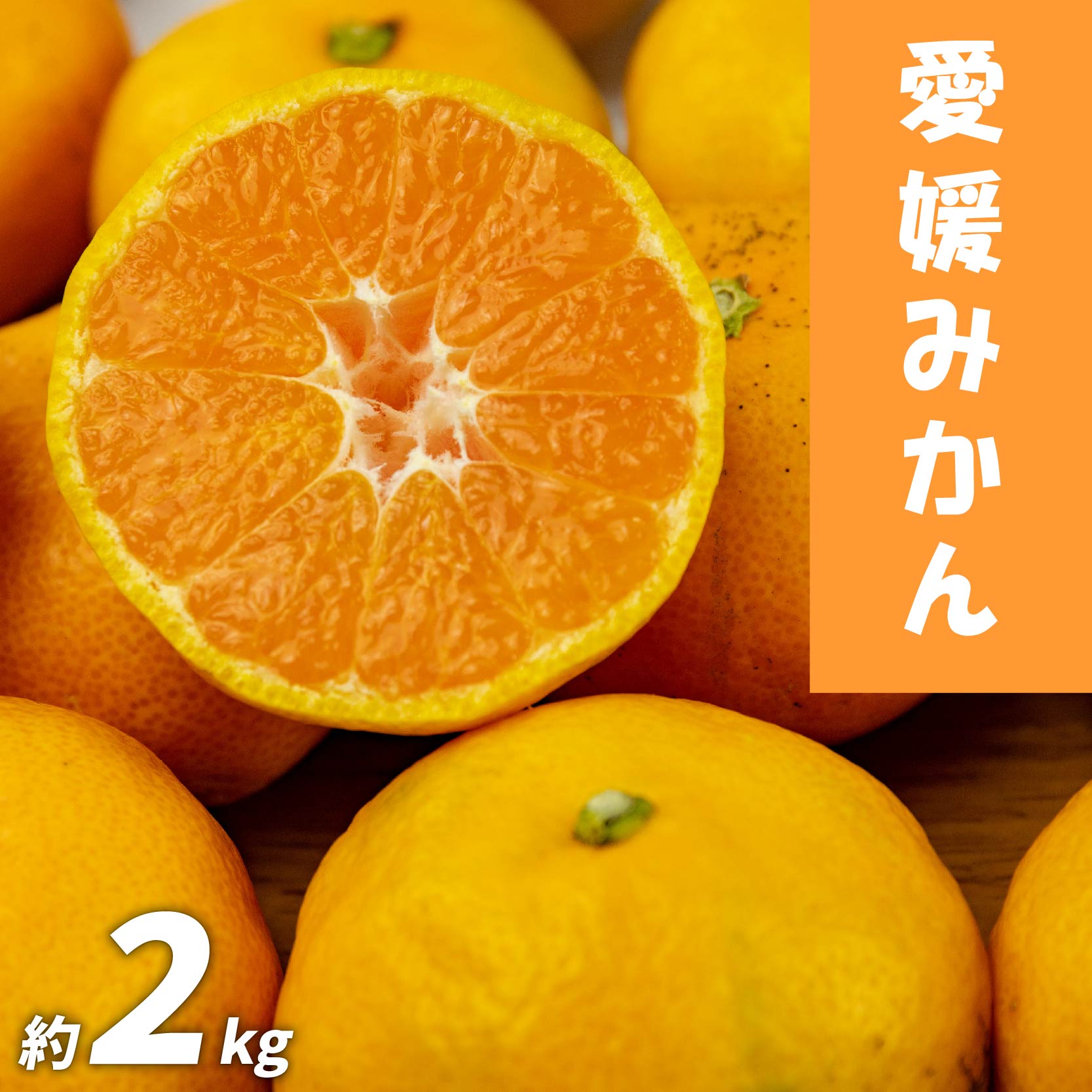 【ふるさと納税】 愛媛みかん 約2kg 訳あり みかん 訳ありみかん 訳あり商品 みかん 訳ありみかん 柑橘 松山 愛媛県のサムネイル