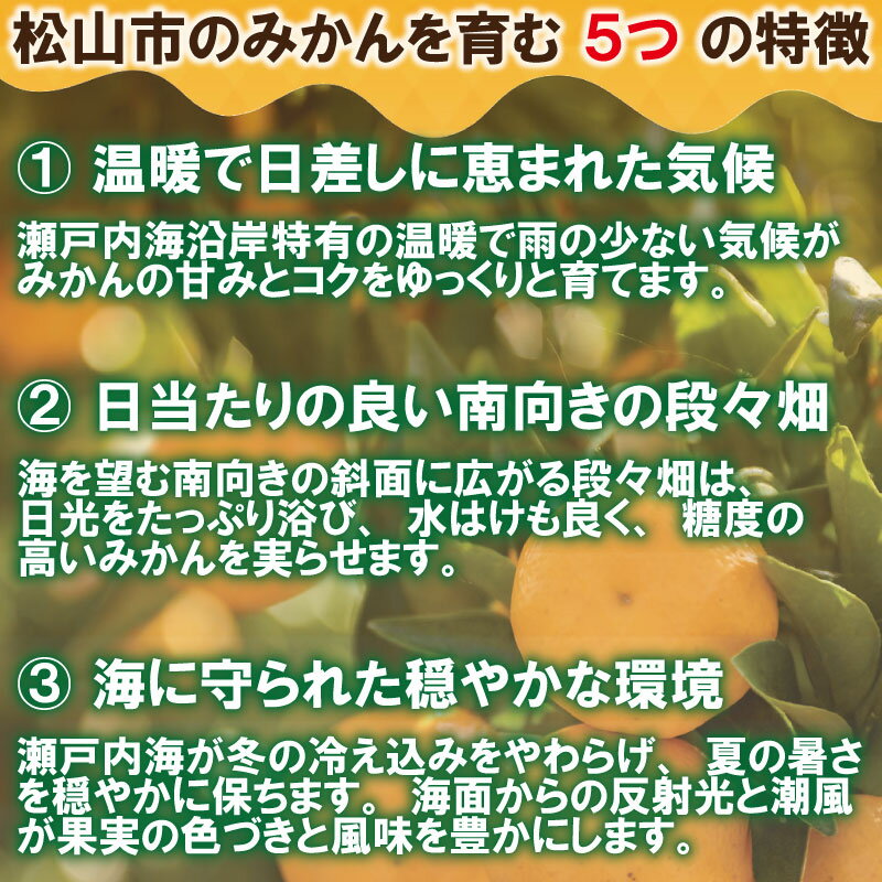 【ふるさと納税】 【選べる 内容量・発送時期】 訳あり みかん 1kg / 2kg / 5kg / 10kg | えひめみかん 温州みかん 極早生 くだもの フルーツ 蜜柑 ミカン mikan 柑橘 不揃い 傷 ワケアリ 訳アリ 家庭用 愛媛県産 お取り寄せ ふるさと納税みかん 愛媛県 松山市 送料無料