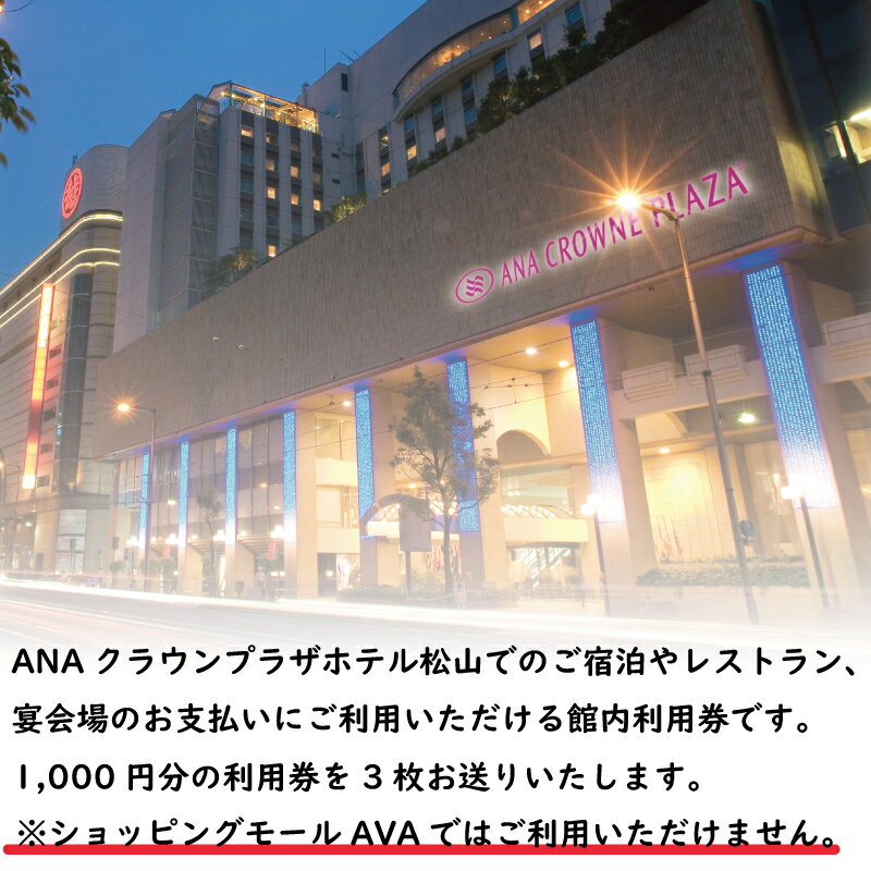 【ふるさと納税】 ANAクラウンプラザホテル松山 館内利用券 3,000円分 松山市 ホテル 利用券 温泉 松山城 坊ちゃん 旅行 愛媛県 松山市その2