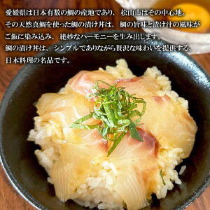 【ふるさと納税】 天然真鯛 漬け丼 セット 50g×10パック 海鮮丼 宇和島風 鯛めし 冷凍 小分け 鯛 国産 海鮮丼 惣菜 海鮮 鯛茶漬け 鯛漬け 松山 グルメ 魚 真鯛 切り身