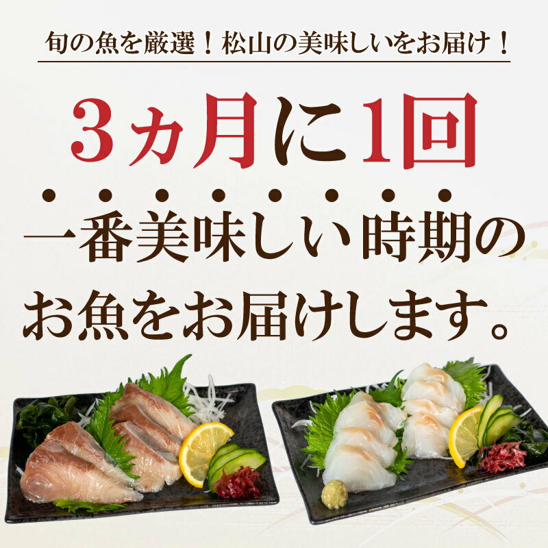 【ふるさと納税】 【選べる発送回数と季節】 旬のお刺身 2種盛り (2~3人前×2種類) 魚 切身 鮮魚 刺身セット 刺身2種盛り 刺身 お刺身 お刺し身 魚介 海の幸 小分け 個包装 冷凍 鯛 カワハギ スズキ イカ サワラ タコ ハマチ ヒラメ 愛媛県 松山市