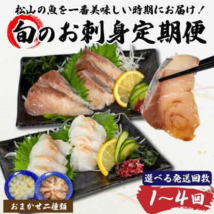 【選べる発送回数と季節】 旬のお刺身 2種盛り (2~3人前×2種類) 魚 切身 鮮魚 刺身セット 刺身2種盛り 刺身 お刺身 お刺し身 魚介 海の幸 小分け 個包装 冷凍 鯛 カワハギ スズキ イカ サワラ タコ ハマチ ヒラメ 愛媛県 松山市