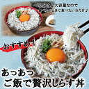 愛媛県松山市の画像3