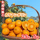 【ふるさと納税】 【5月から発送】 春 みかん カラマンダリン 家庭用 2.5kgまたは5kg|みかん 蜜柑 旬 わけあり 訳あり 甘い 柑橘 果物 フルーツ ...