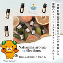 【ふるさと納税】 【訳あり】 柑橘のエッセンシャルオイル ランダム 3点セット 5ml×3本 愛媛県 松山市 中島産 島とみかん