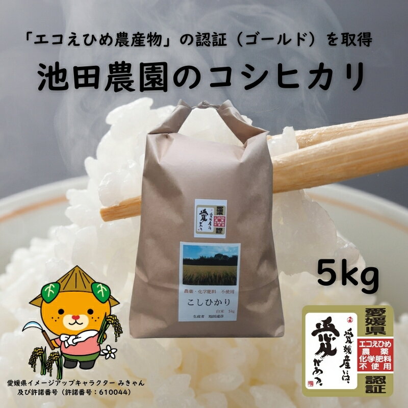 【ふるさと納税】愛媛県産 コシヒカリ 5kg R6年産 選べる 玄米 精米 | お米 米 ご飯 ごはん 愛媛県 松山市 池田農園