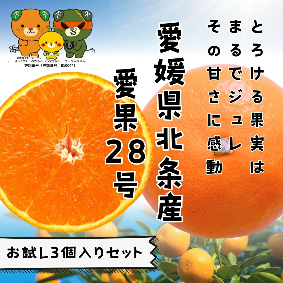 【ふるさと納税】 【先行予約】 愛果28号 お試し3個入りセット 紅まどんな と同品種 国産 愛媛みかん 愛媛蜜柑 愛媛ミカン みかん ミカン mikan 蜜柑...