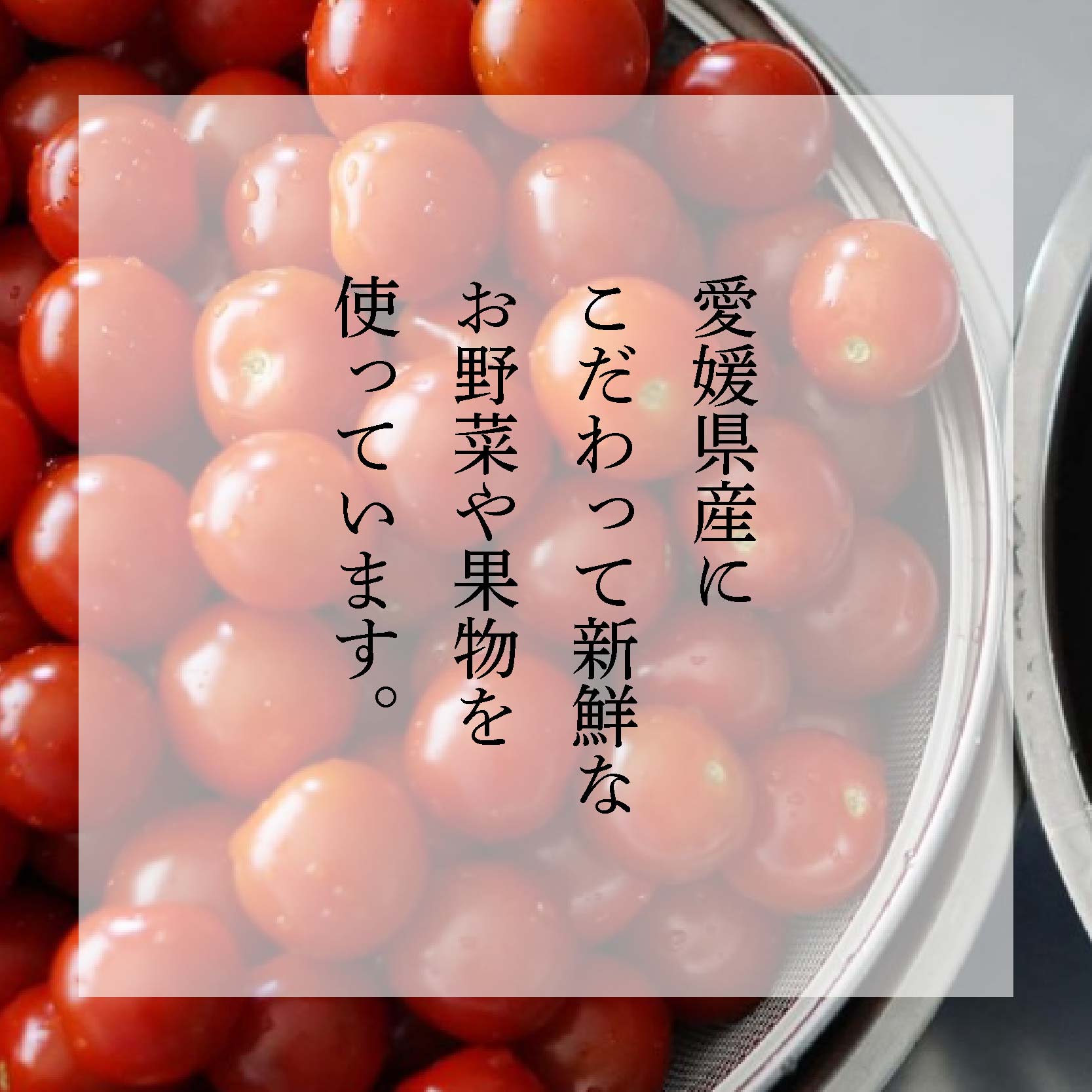 【ふるさと納税】 道後ピクルス旬彩セット 野菜 旬 柑橘 果物 くだもの フルーツ 酢 ピクルス お取り寄せ グルメ 期間限定 人気 おすすめ 愛媛県 松山市