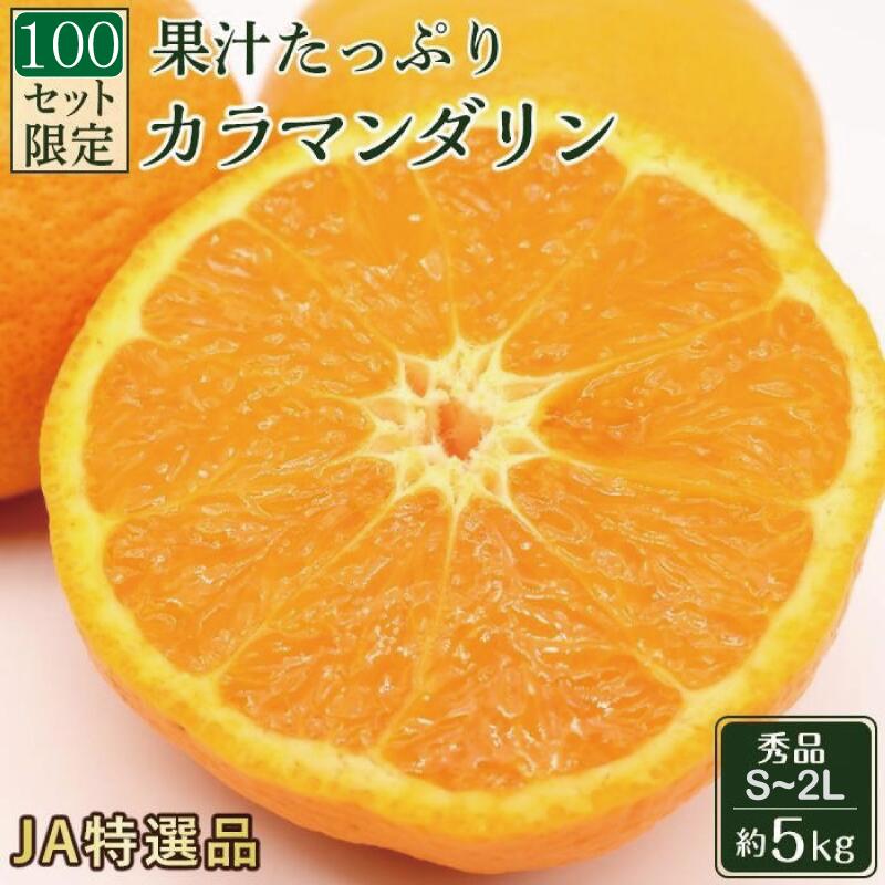 【ふるさと納税】【先行予約】JA特選品 カラマンダリン 秀品M~L 約5kg みかん 蜜柑 柑橘 果物 くだもの フルーツ ブランド 愛媛 松山 お取り寄せ グルメ ギフト 人気 おすすめのサムネイル