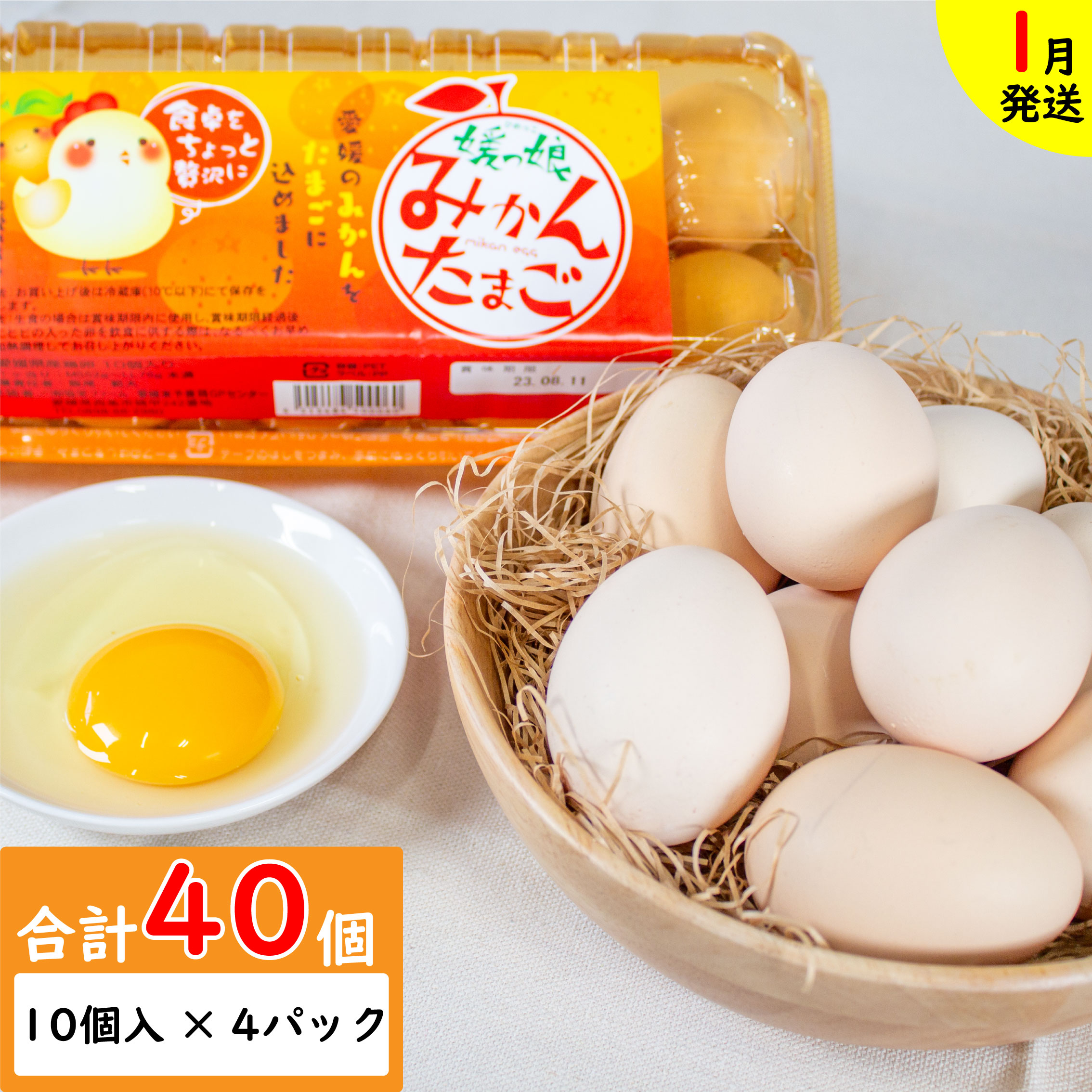 【ふるさと納税】 【1月発送】媛っ娘 みかんたまご 40個 (10個×4パック ※割れ補償5個) 選べる発送月 賞味期限約14日 たまご 卵 タマゴ TKG 卵かけご飯 卵焼き 愛媛県 松山市のサムネイル