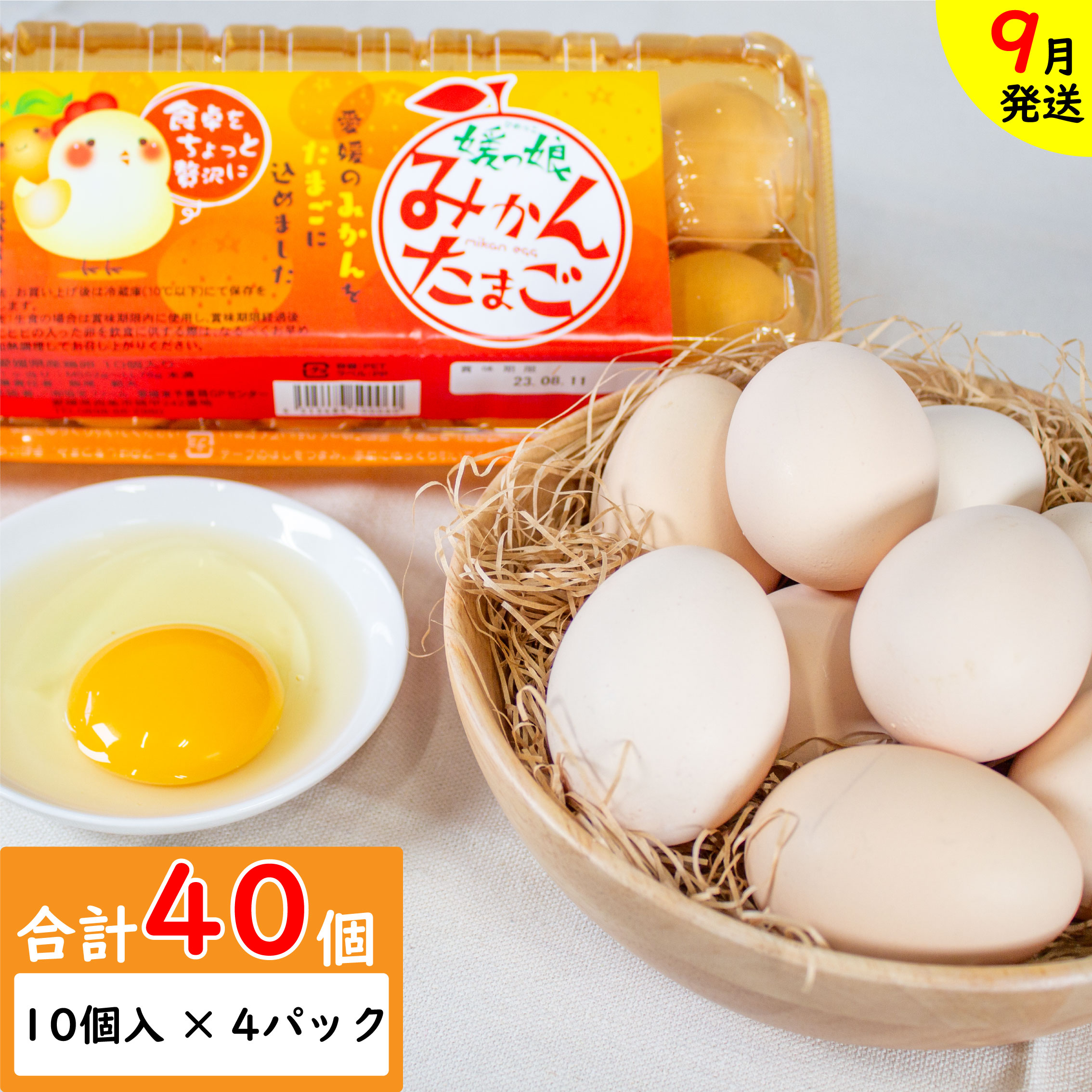 【ふるさと納税】 【9月発送】媛っ娘 みかんたまご 40個 (10個×4パック) ※割れ補償5個 たまご 卵 タマゴ 愛媛県 松山市のサムネイル