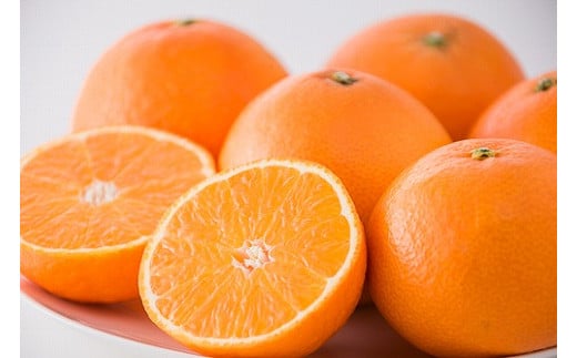 愛媛県松山市の画像2