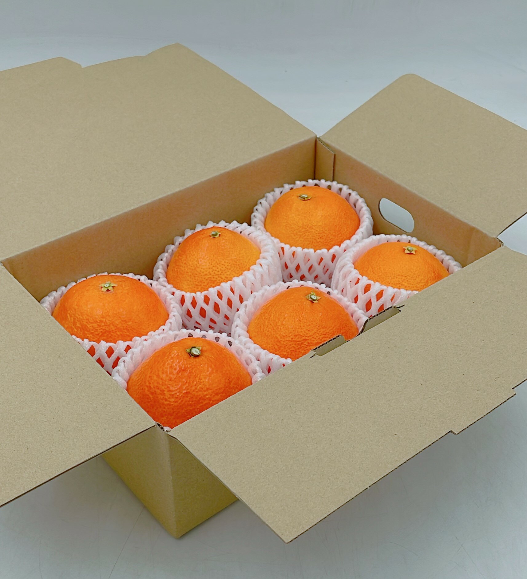 愛媛県松山市の画像3