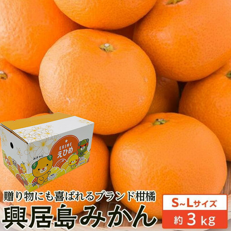 【ふるさと納税】 【2025年11月下旬頃から発送】興居島みかん S~L 3kg | 愛媛 みかん 先行予約 蜜柑 柑橘 果物 くだもの フルーツ お取り寄せ グルメ 期間限定 数量限定 人気 おすすめ 愛媛県 松山市