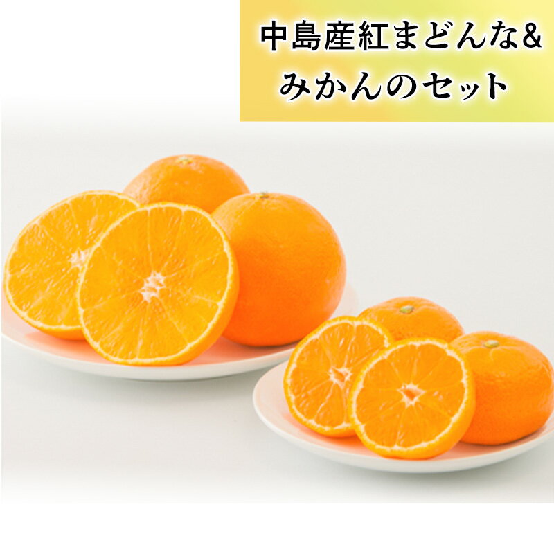 【ふるさと納税】 「中島産紅まどんな」と「中島みかん」のセット （ 紅まどんな 柑橘 フルーツ まどんな みかん 愛媛 みかん 紅まどんな 蜜柑 紅まどんな フジ・アグリフーズ ）【FA0331】のサムネイル