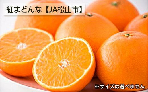 【ふるさと納税】 ★発送は11月下旬～★松山市興居島産　紅まどんな　L～3Lサイズのサムネイル