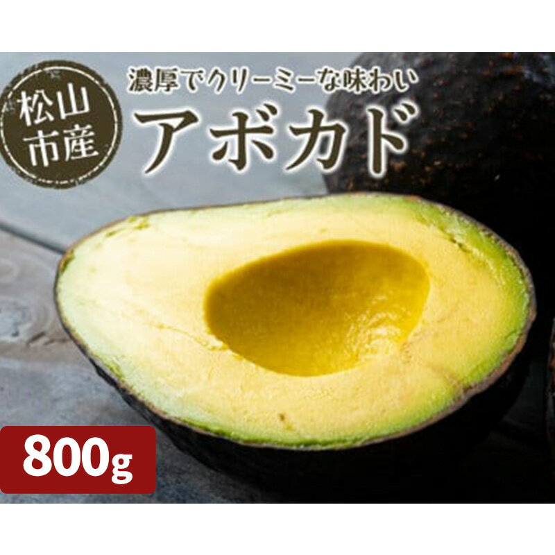 【ふるさと納税】★2023年11月上旬から2024年2月上旬発送★ 松山市産　アボカド　約800g　 愛媛県産フルーツ 果物 愛媛県 松山市のサムネイル