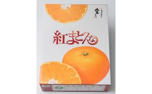 紅まどんな[JAえひめ中央]青秀 3Lから4Lサイズ 大玉 化粧箱( 紅まどんな 柑橘 フルーツ まどんな みかん 愛媛 みかん 化粧箱 ギフト 紅まどんな 蜜柑 紅まどんな 愛媛県 松山市 フジ・アグリフーズ )