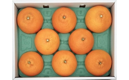 愛媛県松山市の画像2