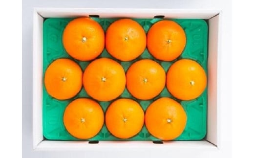 愛媛県松山市の画像3