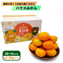 【ふるさと納税】【先行予約】 8月上旬から発送 ハウスみかん 2S~Sサイズ 約2.5kg (愛媛県産 みかん 蜜柑 オレンジ 柑橘 果物 フルーツ 家庭用 お取り寄せ おすすめ 愛媛県 松山市 )(4)