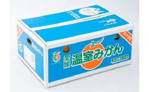 【ふるさと納税】【先行予約】8月上旬から発送 ハウスみかん 2SからSサイズ 約5kg（愛媛県産 みかん 蜜柑 オレンジ 柑橘 果物 フルーツ 家庭用 お取り寄せ おすすめ 愛媛県 松山市 ）