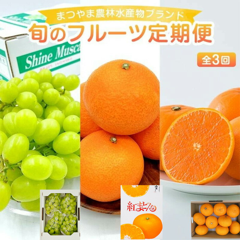 【ふるさと納税】 【先行予約】【全3回】旬のフルーツ まつやま農林水産物ブランド 定期便 フジ・アグリフーズ ( みかん 愛媛蜜柑 愛媛ミカン みかん ミカン mikan 蜜柑 柑橘 フルーツ 果物 シャインマスカット ぶどう 数量限定 人気 おすすめ 愛媛県 松山市 送料無料)