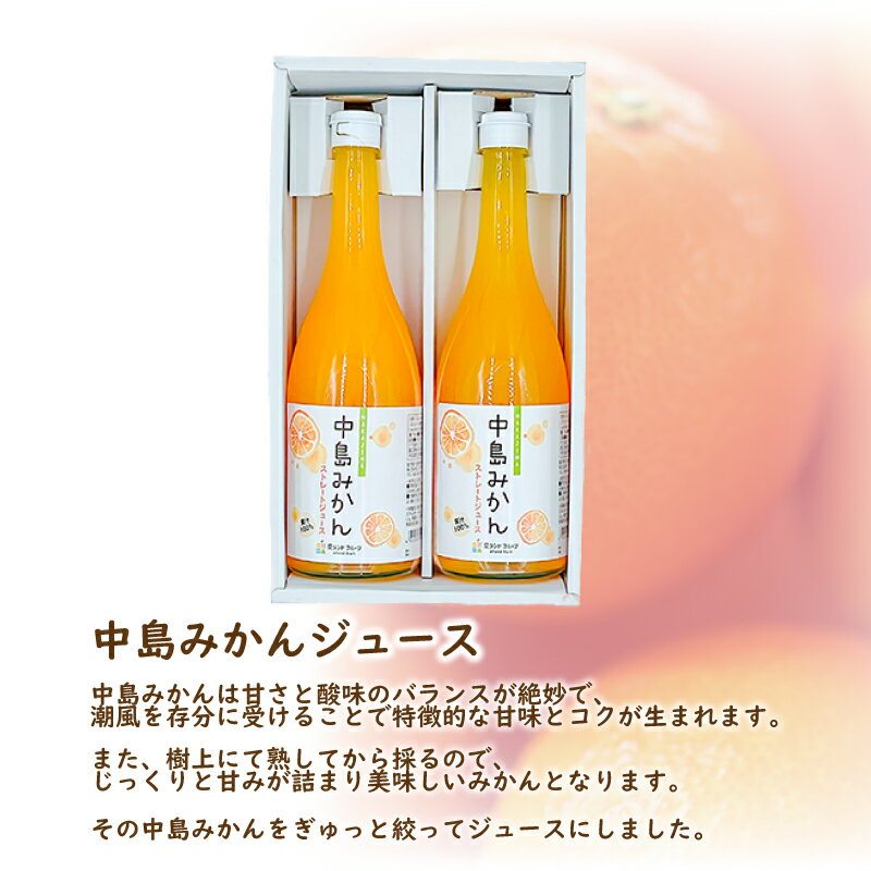 【ふるさと納税】 中島みかんジュース　720ml×2本セット 愛媛 松山 果物 飲料
