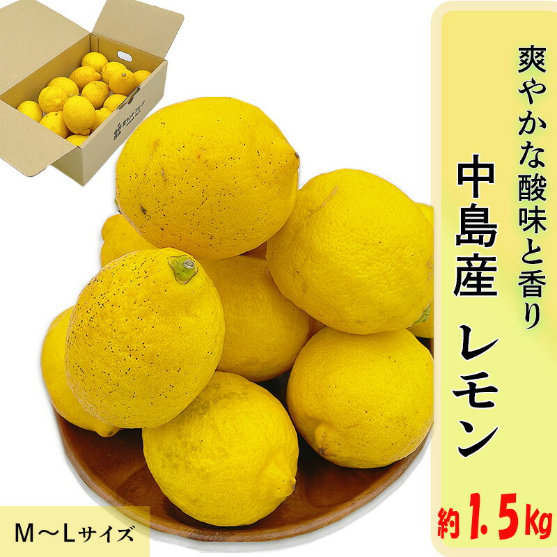 【ふるさと納税】【11月上旬より発送】中島産 レモン M から L サイズ 約1.5kg | （先行予約 檸檬 レモン 国産 柑橘 レモンジャム レモンサワー ピール 中島 愛媛 松山 ）フジ・アグリフーズ