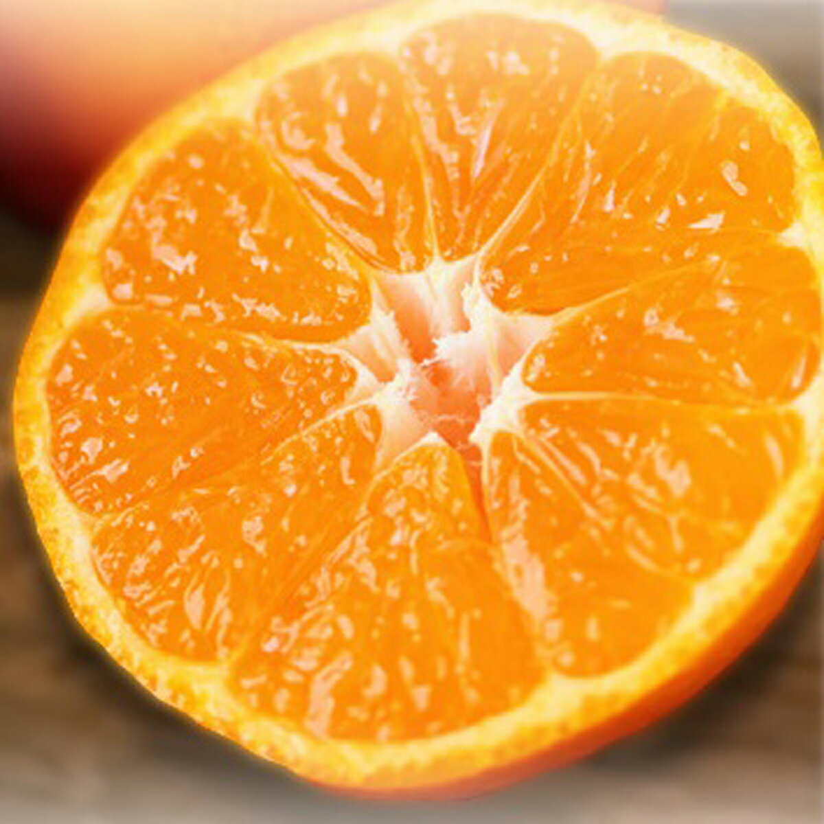 愛媛県松山市の画像2