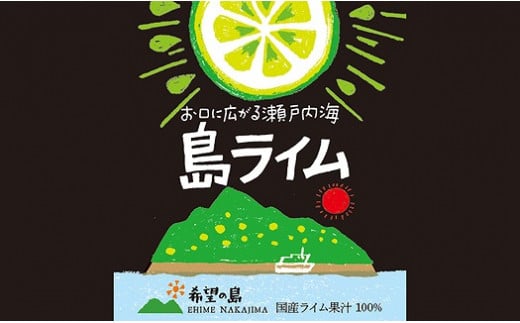 【ふるさと納税】 希望の島 ライム 果汁 150ml 6本 