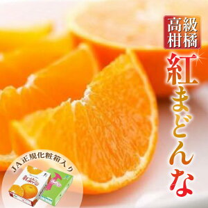 【ふるさと納税】 【2025年11月中旬から発送】 紅まどんな <JA正規化粧箱入り> 約3kg 愛媛 みかん 蜜柑 mikan 柑橘 高級柑橘 高級フルーツ 高級果物 果物 くだもの フルーツ お取り寄せ グルメ ギフト 期間限定 数量限定 人気 おすすめ 愛媛県 松山市
