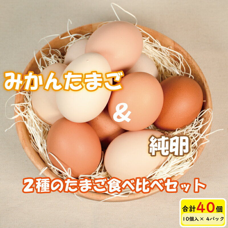 【ふるさと納税】 【発送月が選べる】みかんたまご と 純卵 