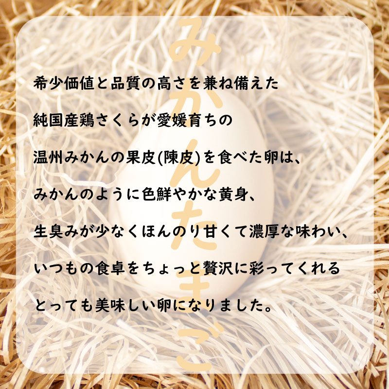 【ふるさと納税】 【発送月が選べる】みかんたまご と 純卵 じゅんたまご 2種の卵食べ比べセット 計40個(10個×4パック) ※割れ保証5個 (卵 たまご タマゴ 玉子 卵料理 卵かけごはん TKG エッグ egg 卵 食べ比べ 小分け 松山 愛媛県 )