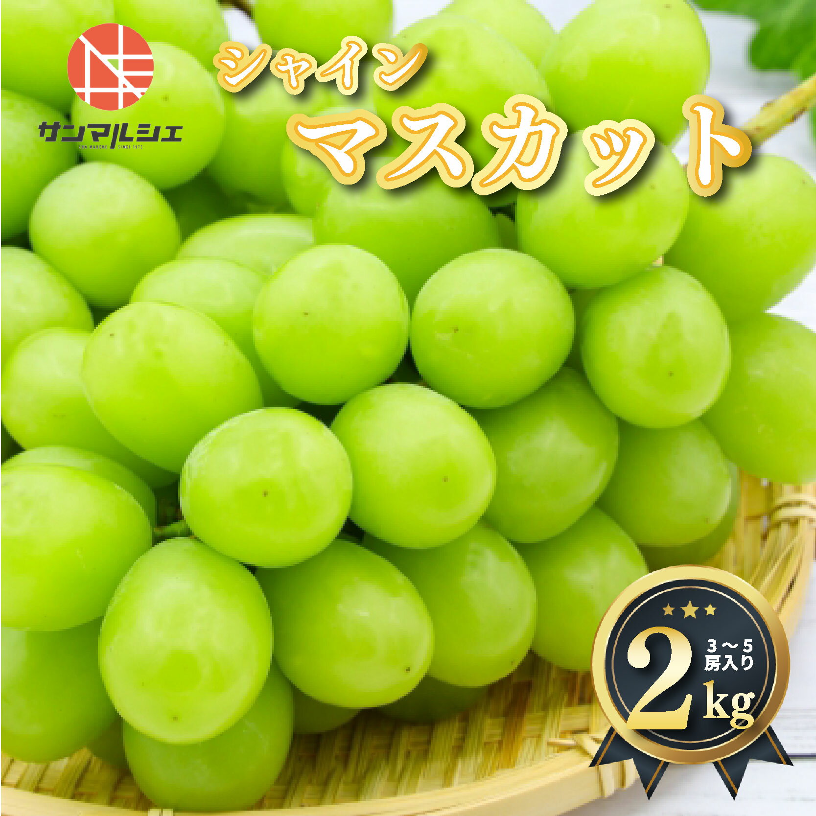 【ふるさと納税】 シャインマスカット 約2kg ( 3～5房 ) 青秀 以上 冷蔵 愛媛県産 松山 伊台のサムネイル