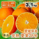 11位! 口コミ数「11件」評価「4.45」 【来年度先行予約品】完熟 愛果 28号 秀品 3.1kg (10～13個) 光センサー選別 糖度11度以上 【2024年12月上旬～202･･･ 