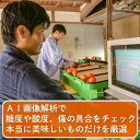 愛媛県松山市の画像3