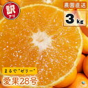 【ふるさと納税】 【先行予約】 訳あり 家庭用 愛果28号 3kg (約8〜18個) 光センサー選別 【11月下旬〜12月下旬発送】 訳あり 不揃い 柑橘 果物...