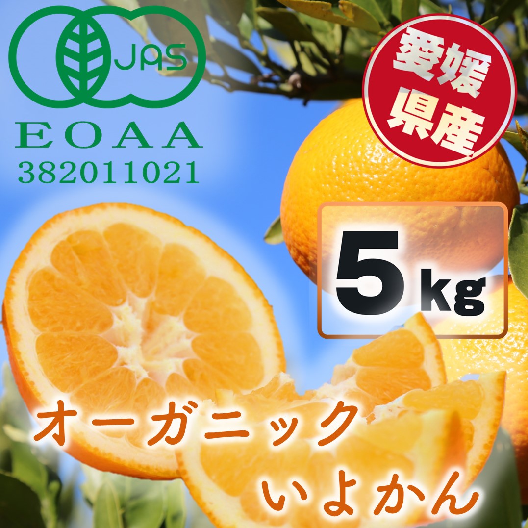 【先行予約】 有機JAS認証 超希少！ 愛媛県産 オーガニック いよかん5kg 2024年12月下旬～発送 安心 安全 こだわり栽培 みかん いよかん 伊予柑 柑橘 愛媛県 松山市