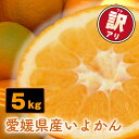 【ふるさと納税】 【先行予約】訳あり 愛媛県産 宮内いよかん 5kg | 【1月上旬〜2月下旬発送】 宮内伊予柑 いよかん 蜜柑 伊予柑 わけあり 家庭用 柑橘 みかん ミカン フルーツ 果物 甘い 酸味 果汁 果肉 期間限定 旬 お取り寄せ グルメ みかん 農家直送 国産 愛媛県 松山市