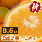 【ふるさと納税】 【来年度先行予約品】 みかん 訳あり いよかん 8.5kg 愛媛県産 【2024年12月下旬～2025年3月下旬発送】 家庭用 いよかん 伊予柑 不揃い 家庭用 柑橘 みかん 訳あり 愛媛県 松山市 みかんランキング 上位