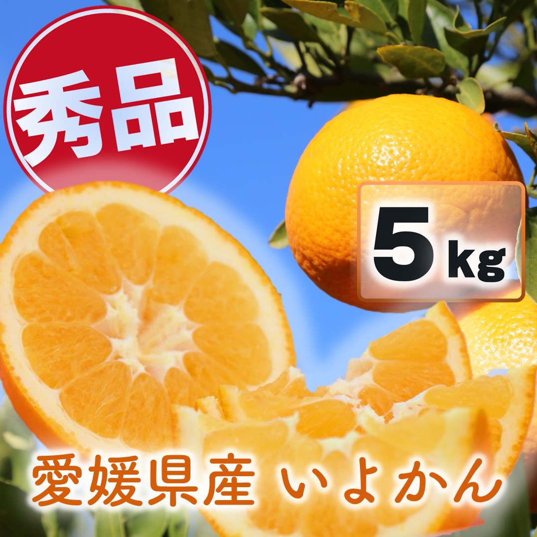 【ふるさと納税】 【来年度先行予約品】 いよかん 伊予柑 5kg 愛媛県産 秀品 【2024年12月下旬～2025...