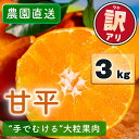 【ふるさと納税】 【先行予約】 訳あり 農園直送 甘平(かんぺい) 3kg 【1月上旬〜2月中旬発送】 愛媛県限定 希少 高級柑橘 手でむける みかん