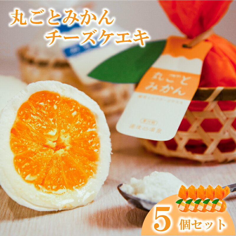 丸ごとみかんチーズケエキ5個セット チーズケーキ お菓子 道後温泉 スイーツ おやつ みかん レアチーズ ケーキ