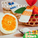 【ふるさと納税】 道後ミルクチーズケエキ5種セット チーズケーキ お菓子 道後温泉 スイーツ おやつ レアチーズ ケーキ