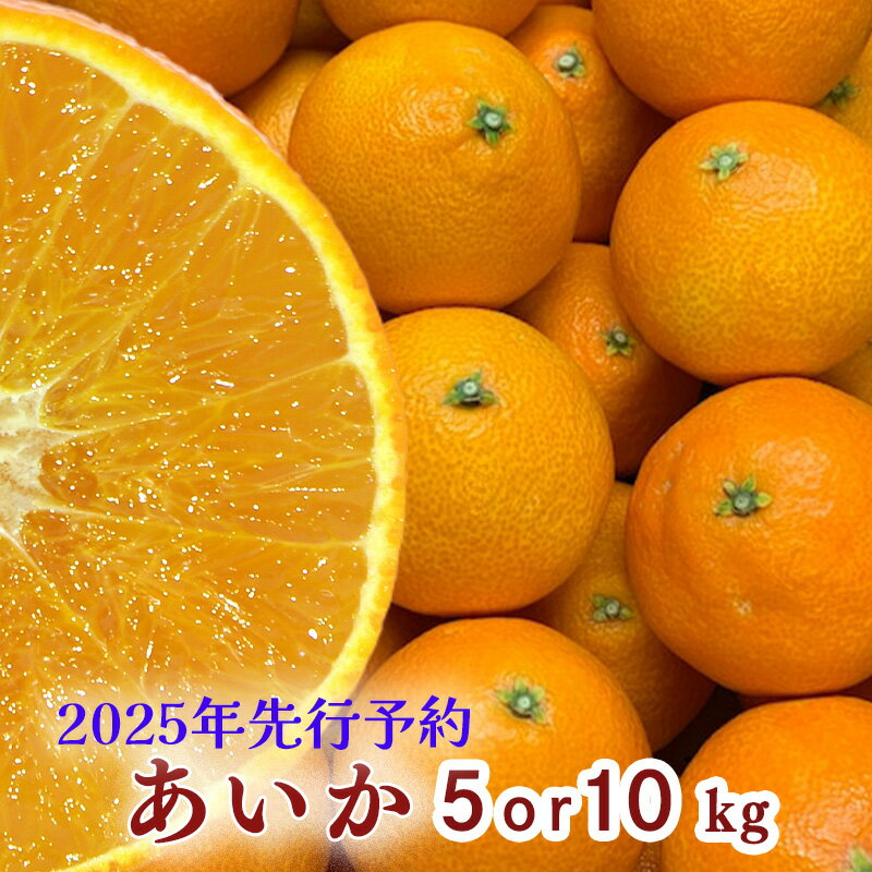 楽天市場】紅 ま どんな 10kgの通販 楽天市場】紅 ま どんな 10kgの通販
